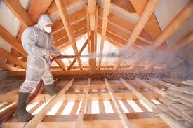 Best Insulation for Existing Homes  in Horseshoe Bend, AR